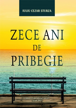 Zece ani de bribegie